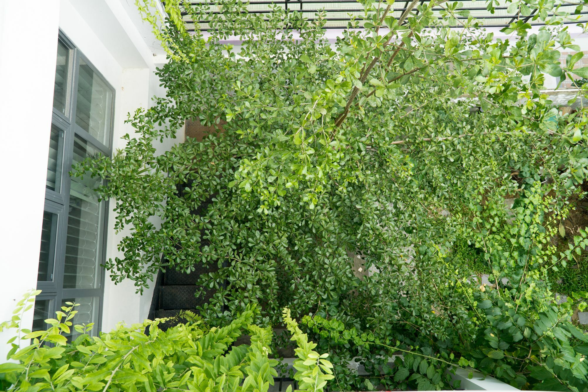 Kiu House - 3Br - Green & Artistic Da Nang Exterior foto
